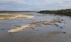 Tak źle jeszcze nie było. Antyrekord na Wiśle