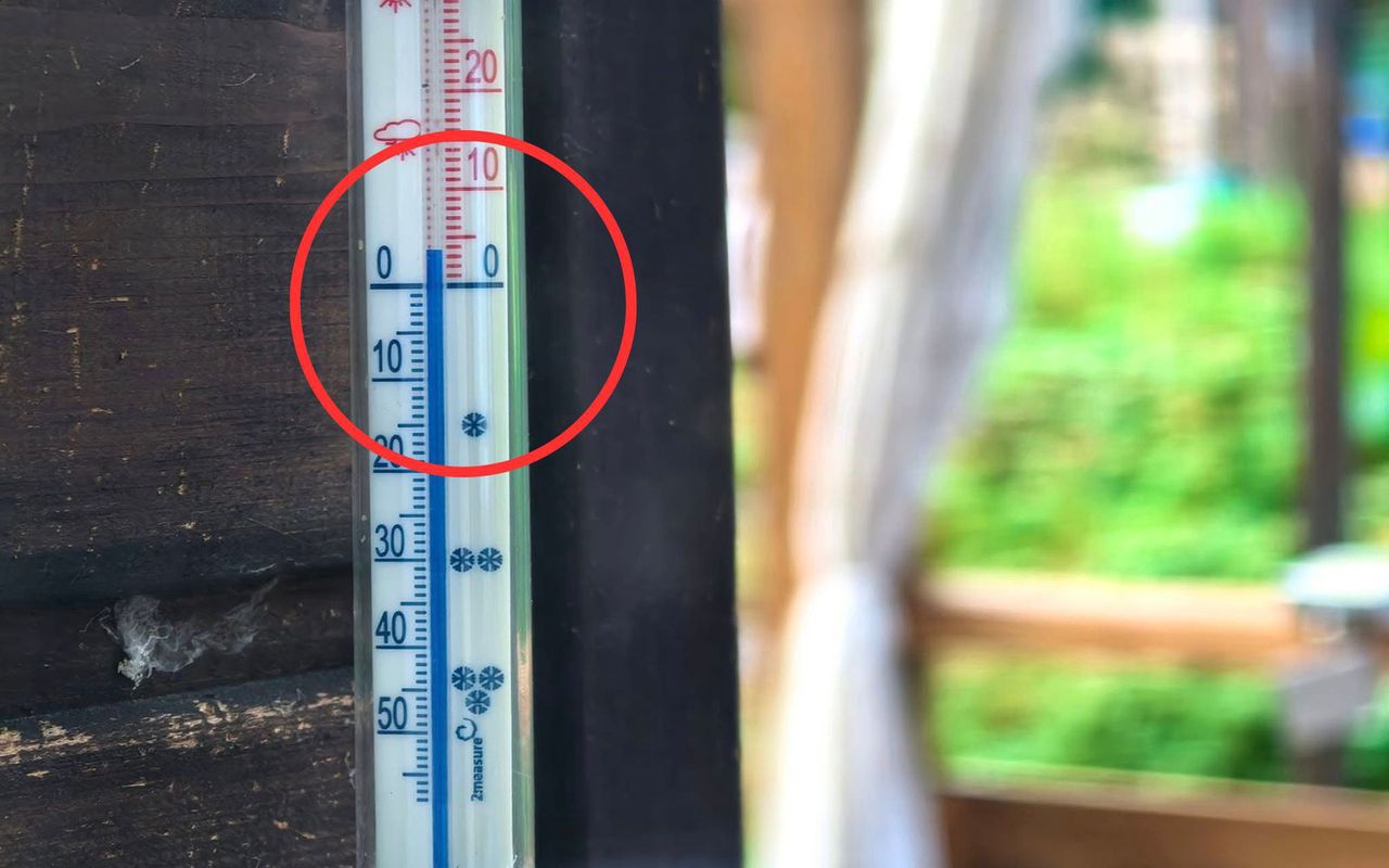 Zdjęcie z Podkarpacia. Leśnicy wprost: "Idzie jesień"