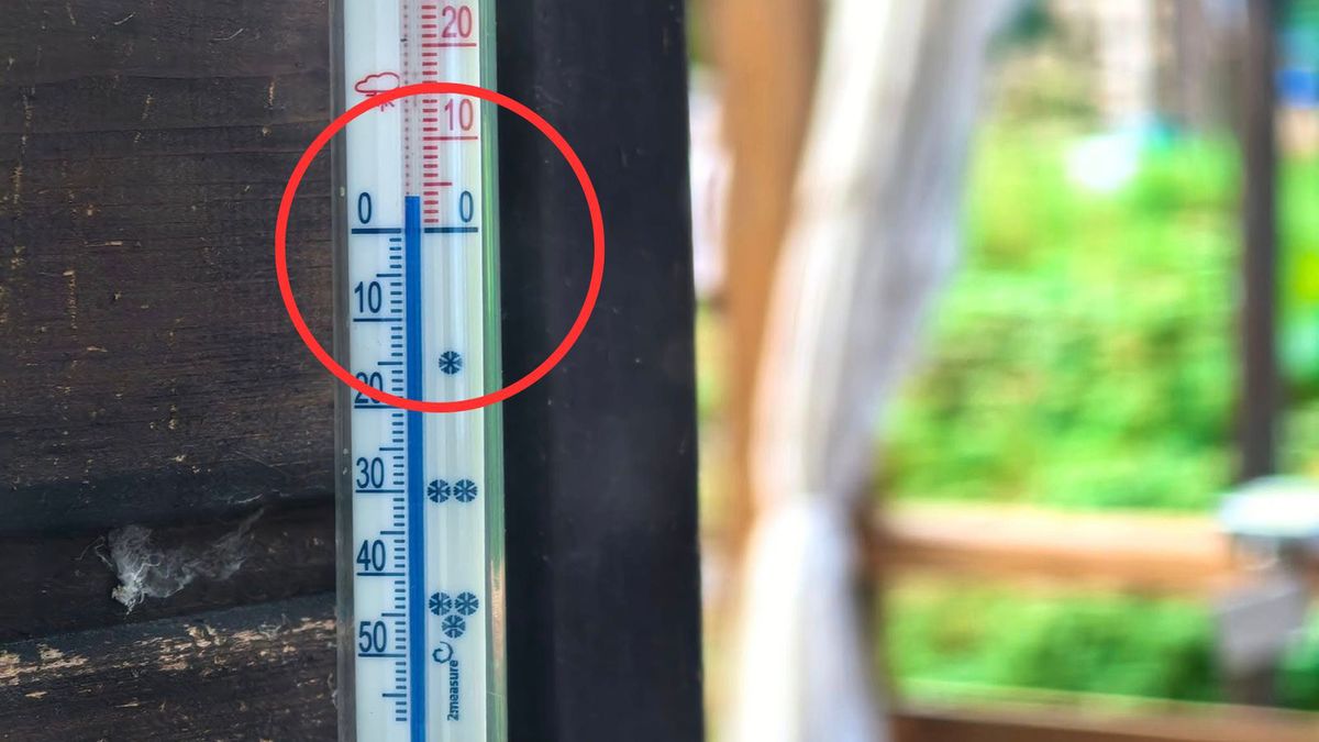 Taka temperatura w Nadleśnictwie Baligród