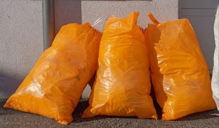 Pomarańczowe worki na śmieci w kolejnej gminie. Co do nich wrzucić?