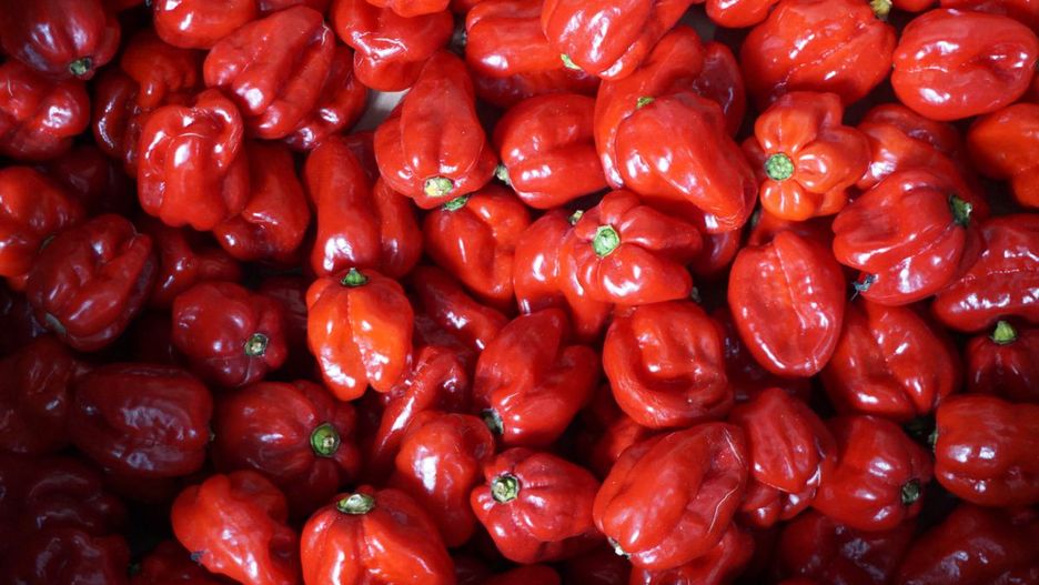 Jak wyjść z kryzysu w polskim rolnictwie?