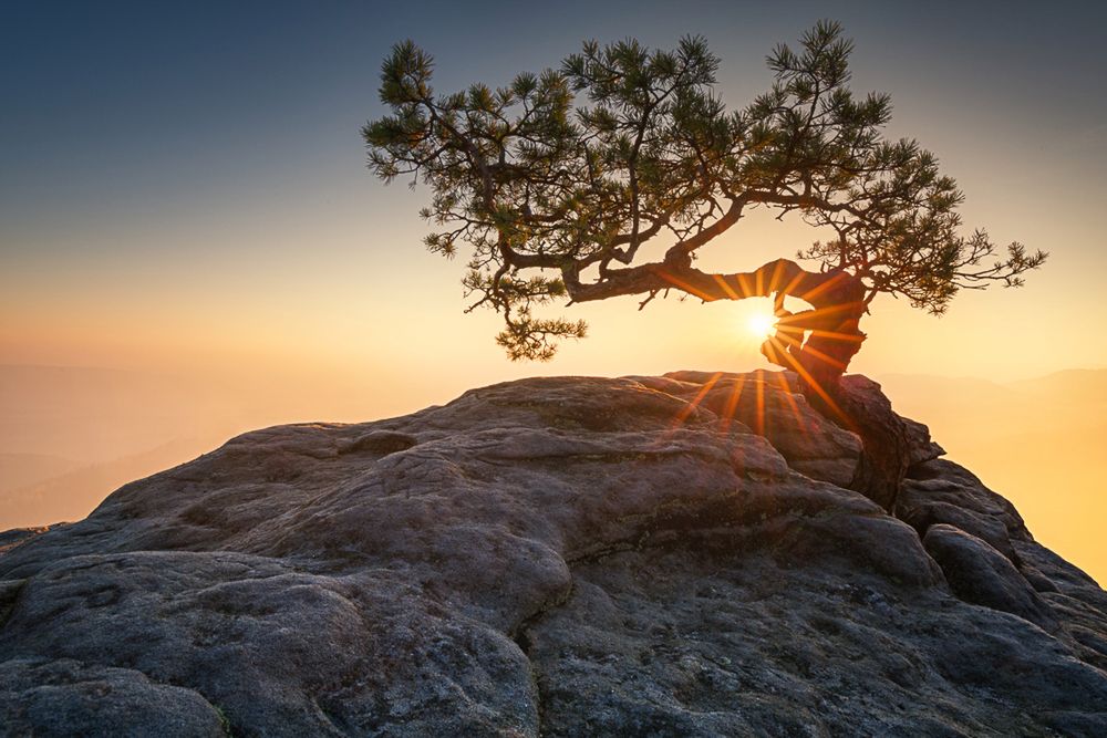 Chyba wrzucaniu na luz nie specjalnie sprzyja Twój plecak, prawda? Czym fotografujesz?