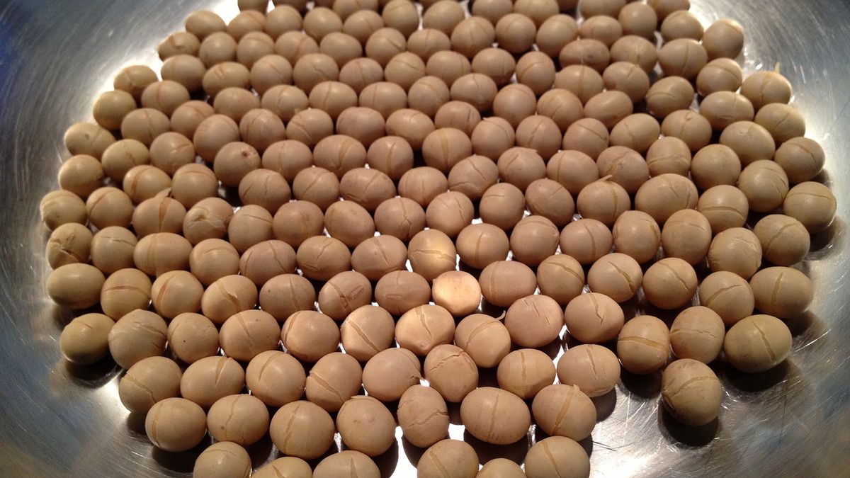 Soja pieczona z dodatkiem soli