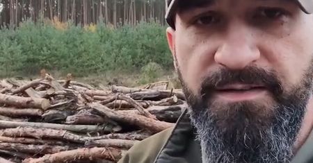 Tanie drewno na opał na zimę. Leśnik tłumaczy