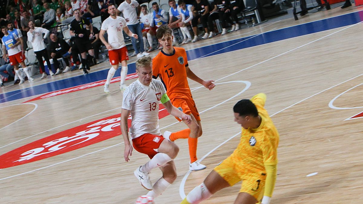 PAP / PAP/Lech Muszyński / Polska grała z Holandią