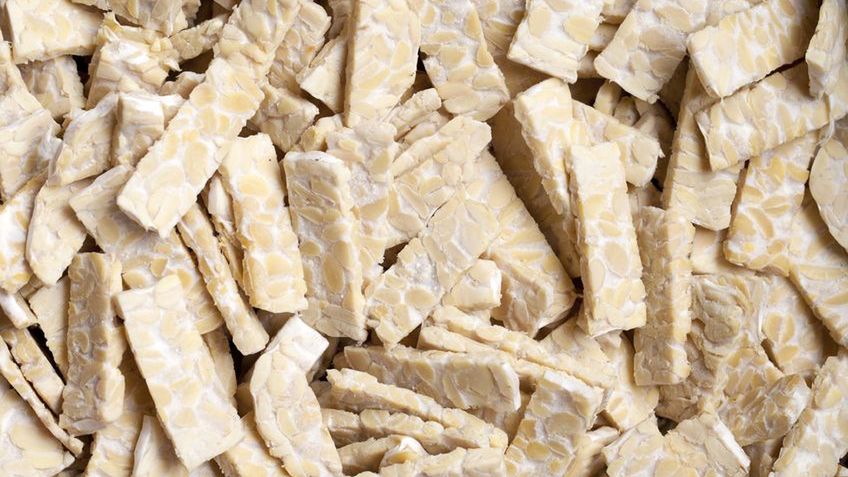 Tempeh