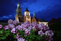 Astronomiczna wiosna. Pogoda nie zawiedzie. Wyż Oliver zrobi swoje