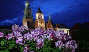 Astronomiczna wiosna. Pogoda nie zawiedzie. Wyż Oliver zrobi swoje