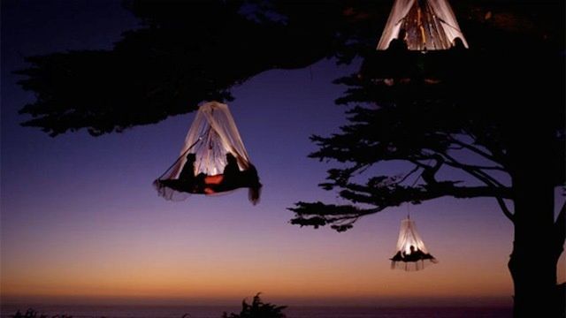 Zwisający namiot: śpij jak nietoperz