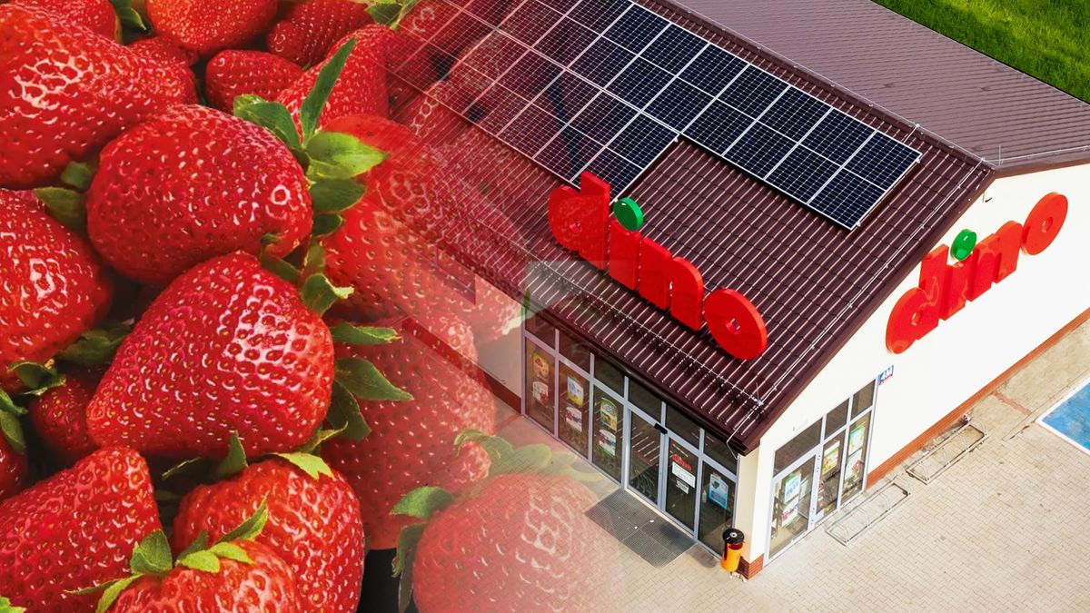 Truskawki i lody w Dino taniej od 6 maja. Oto promocje