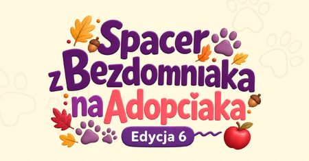 "Spacer z Bezdomniaka na Adopciaka". Psy z płockiego schroniska wyjdą na Wzgórze Tumskie