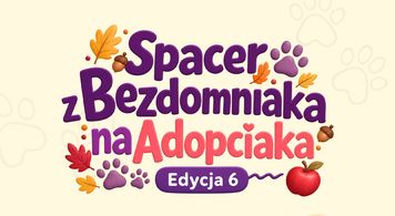 "Spacer z Bezdomniaka na Adopciaka". Psy z płockiego schroniska wyjdą na Wzgórze Tumskie