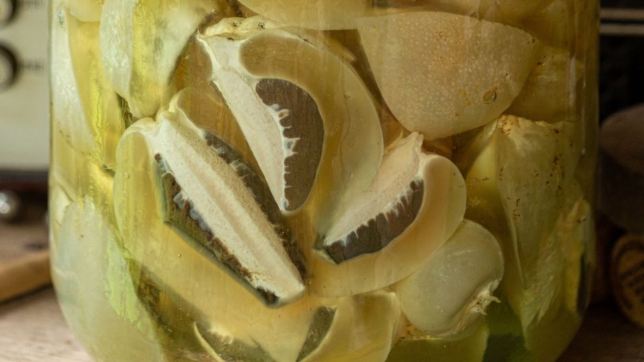 Grzyby wydziela bardzo nieprzyjemny zapach