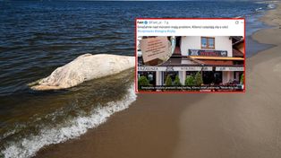 Smażalnia w Stegnie miała dość. Wywiesili kartkę o ościach