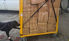 Pół tony tytoniu znalezione w przesyłkach w sortowniach firm kurierskich w Zielonej Górze