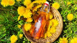 Nalewka z mniszka lekarskiego - na co pomaga? Jak stosować i kiedy?