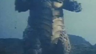 Obóz i areszt domowy