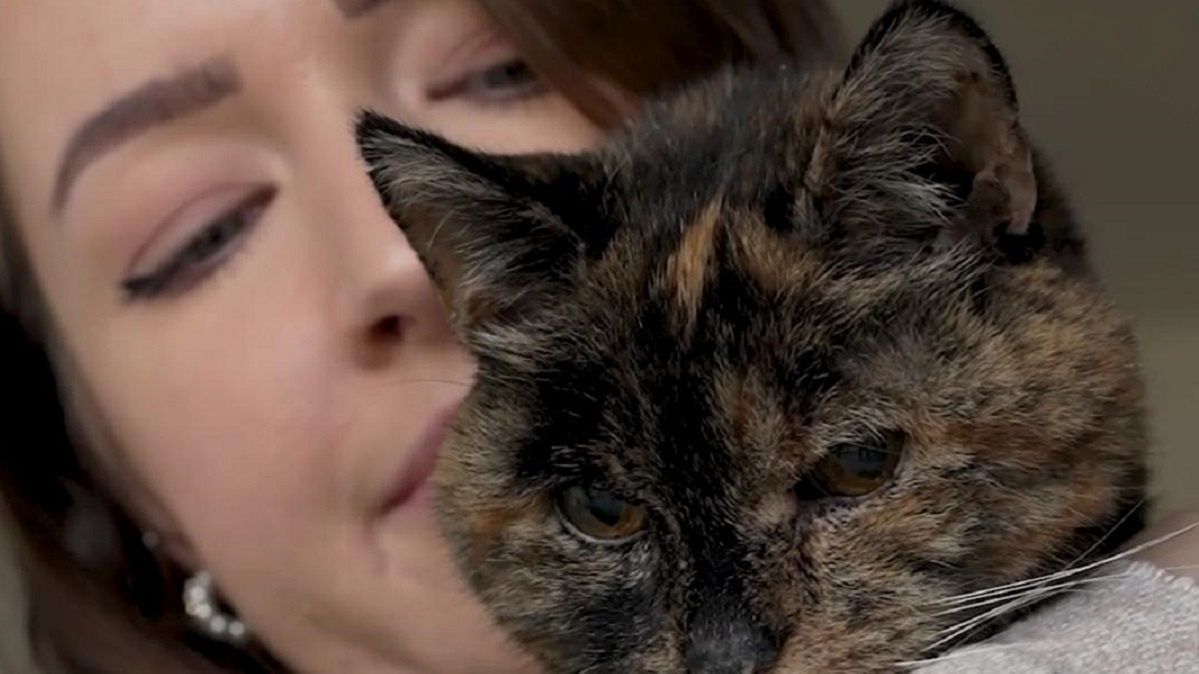 Flossie to najstarszy kot na świecie. Pobiła rekord Guinnessa