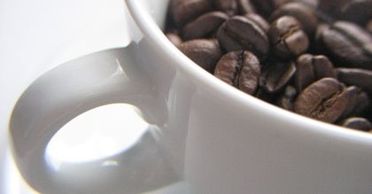 Kopi Luwak – egzotyka w filiżance