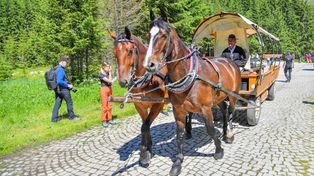 Upał uderzył w Tatry. Wozy konne do Morskiego Oka całkowicie zawieszone. TPN i fiakrzy apelują do turystów