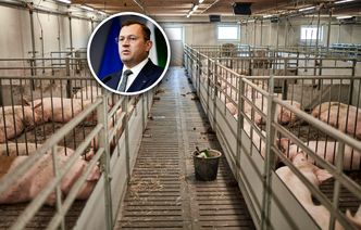 Sąsiedzi pozwali rolnika za smród. Ma zapłacić karę. PSL reaguje