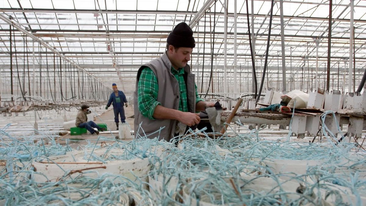 Dwóch na dziesięciu Polaków nie chce pracować z obcokrajowcami. Taka sama grupa chciałby, żeby mieli mniejsżą wypłatę niż Polacy