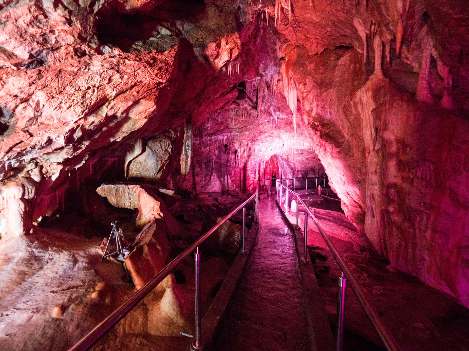 W Jasini Niedźwiedziej panuje stała temperatura 7 st. C