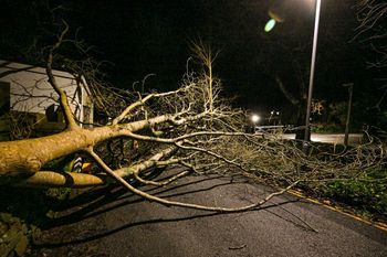 213 km/h. Orkan Goretti paraliżuje północny zachód Francji