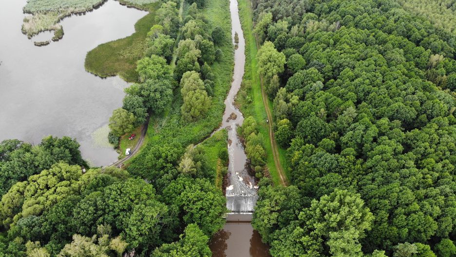 Barycz. Woda ze Stawów Milickich wspomoże oczyszczanie rzeki