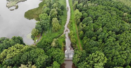 Barycz. Woda ze Stawów Milickich wspomoże oczyszczanie rzeki