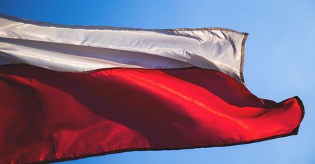 Wybory samorządowe 2024 Ostrowiec Świętokrzyski. Lista kandydatów na prezydenta miasta