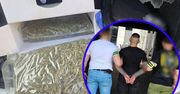 Ponad 40 kilogramów narkotyków w rękach policji! Dwóch zatrzymanych, zlikwidowany magazyn i plantacja