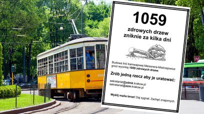 Aktywiści w Krakowie walczą o 1059 drzew przeznaczonych do wycinki