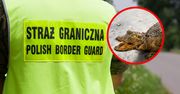 Otworzyli bagażnik i oniemieli. Ukraińcowi grozi do 5 lat