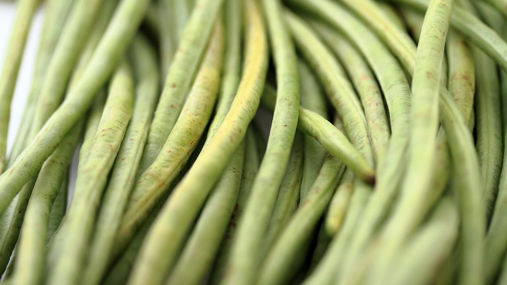 Surowa wspięga chińska