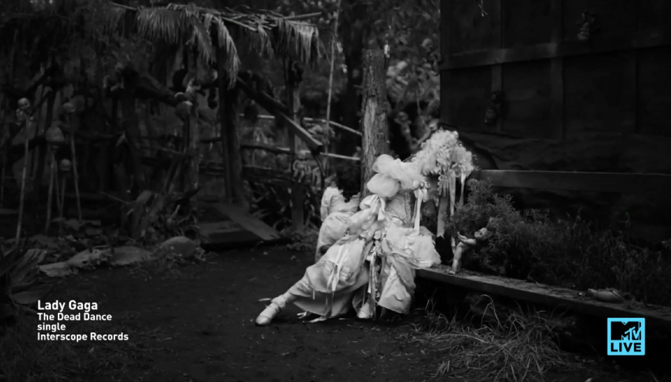 Amerykański kanał MTV Live