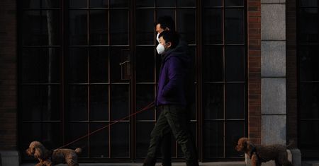 Rośnie liczba zgonów i zakażeń paciorkowcem w Japonii. Naukowcy ostrzegają