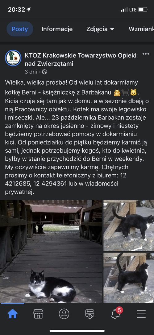 Wolontariusze poszukiwani w Krakowie