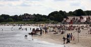 Kosztowny bursztyn znaleźli na polskiej plaży