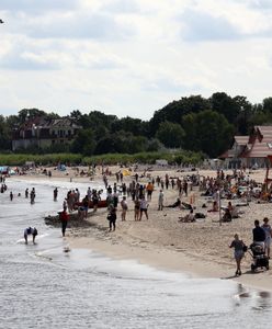 Kosztowny bursztyn znaleźli na polskiej plaży