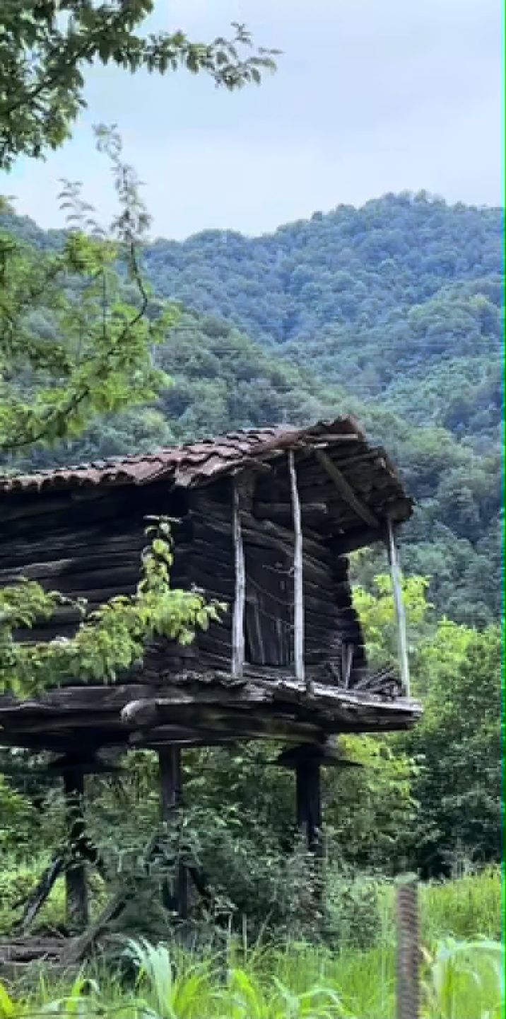 Filip Chajzer relacjonuje wypad do Gruzji