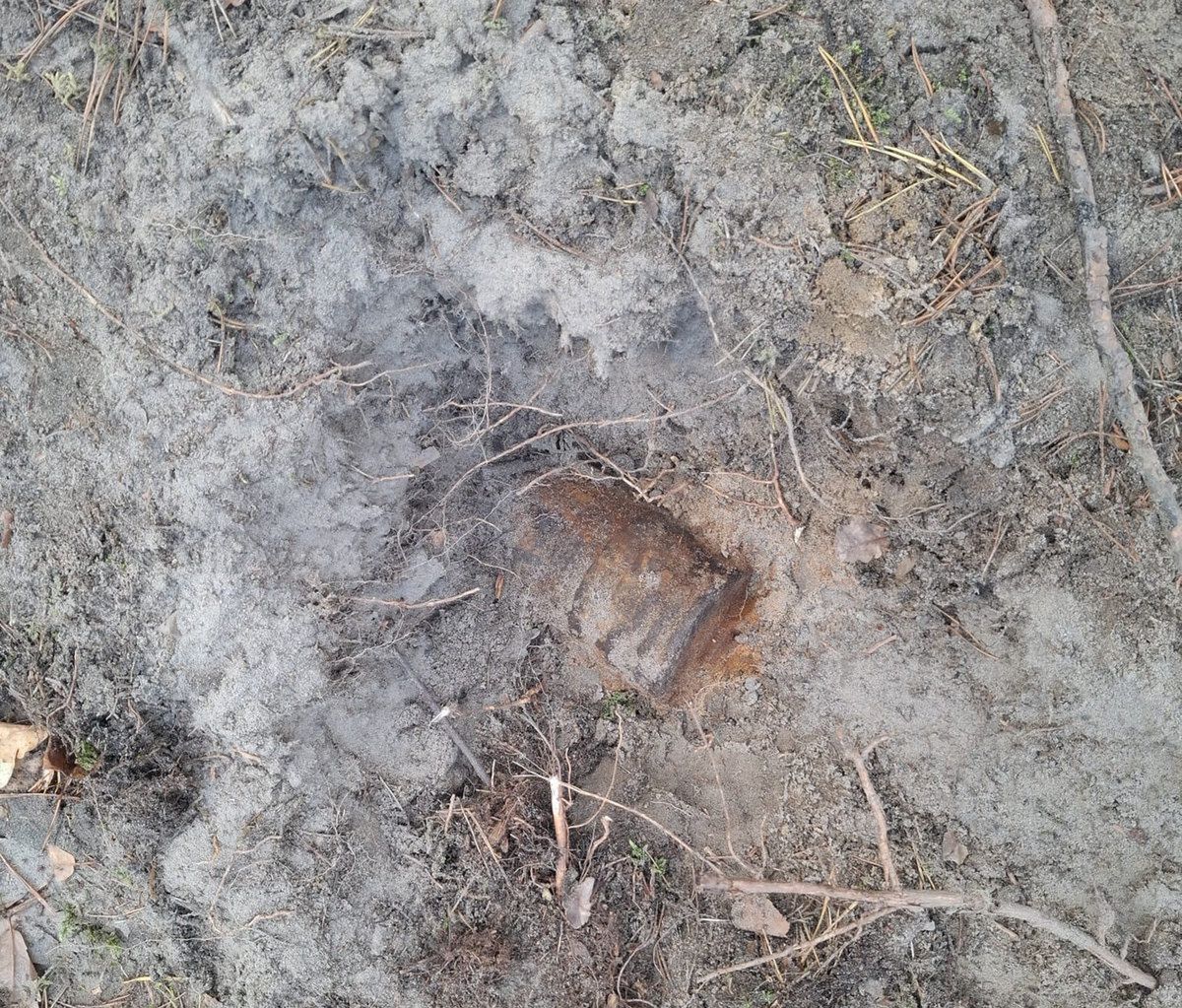 Dęblin: Mieszkaniec znalazł pociski artyleryjskie w lesie