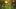 Might & Magic: Clash of Heroes we wrześniu