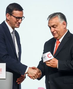 Polska będzie patrzyła Orbanowi na ręce w czasie wyborów? “Nie ma żadnych przesłanek...”