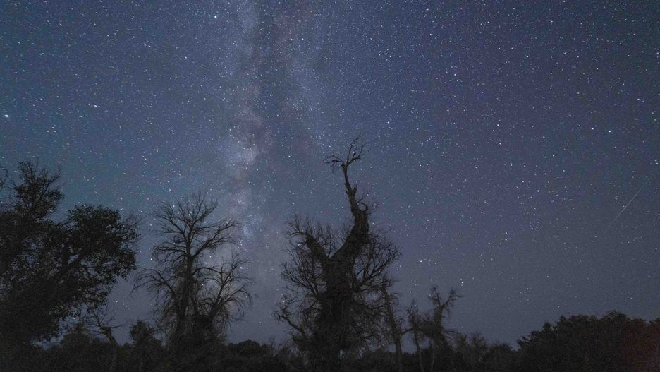 KORLA, CHINA - AUGUST 12, 2021 - The Perseid meteor shower is seen above populus euphratica in Korla, Northwest China's Xinjiang Uygur Autonomous Region, Aug. 12, 2021.&#xA; (Photo credit should read Costfoto/Barcroft Media via Getty Images)