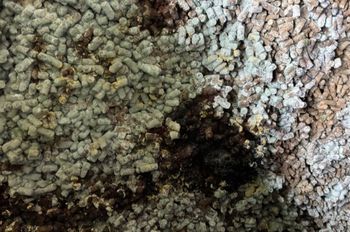 To znaleźli w wagonach. Wydano zakaz wjazdu do UE