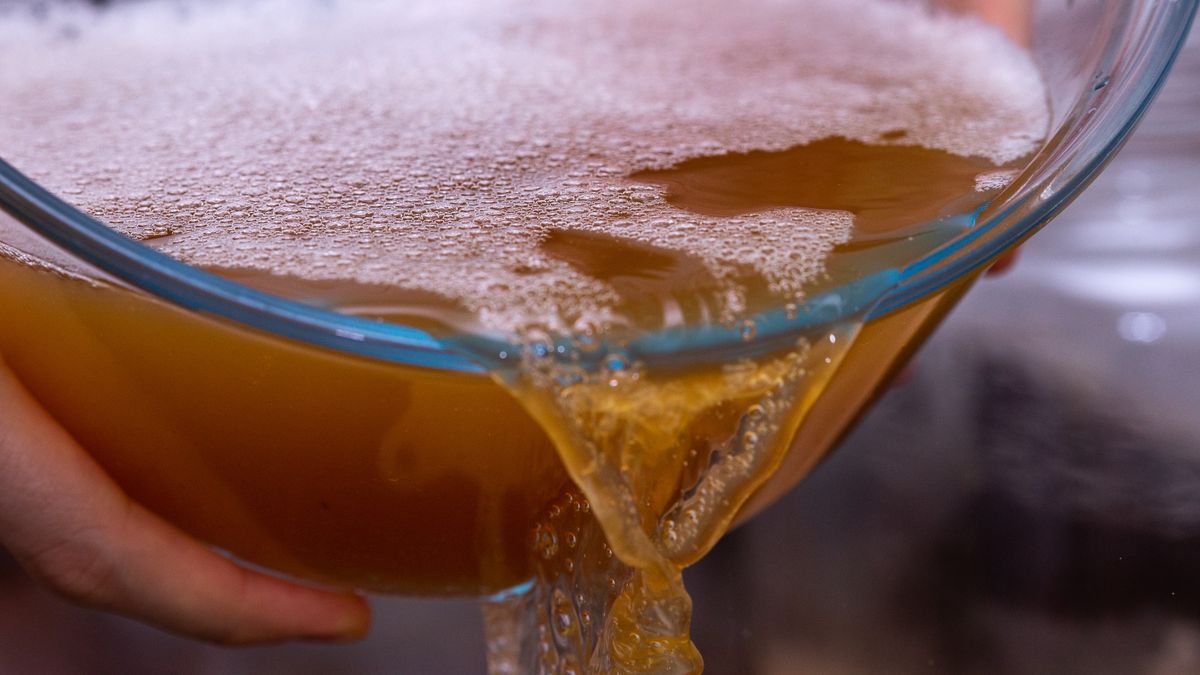 Homemade fermented kombucha tea - full processKombucha, is traditionally obtained from the fermentation of sweetened tea from the leaves of the plant "Camellia sinensis". For fermentation, tea is prepared, usually black or green, but it can be any infusion, as long as it is sweet and it is not a natural antibiotic. Also know as:  tea mushroom, tea fungus or Manchurian mushroomHelder Faria