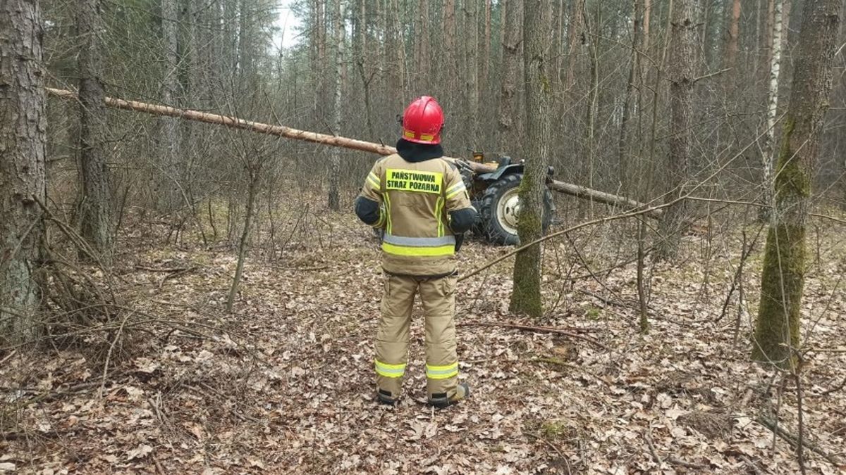 Zdjęcie ilustracyjne. 