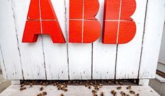 W Krakowie pszczoły pomagają naukowcom w projektowaniu inteligentnych miast