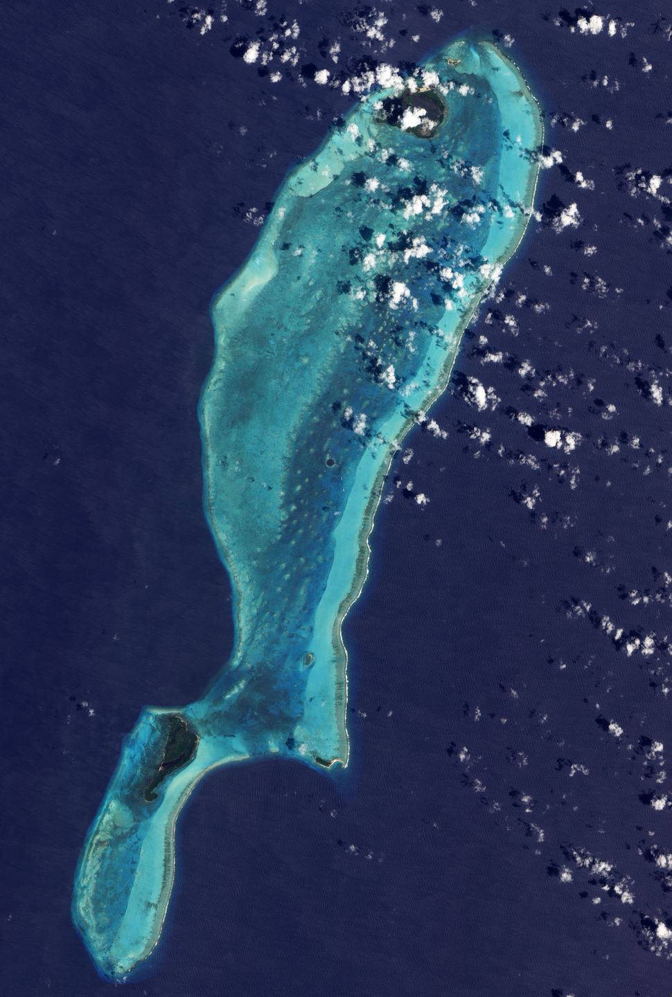 Great Blue Hole na Morzu Karaibskim widziane z orbity, po środku